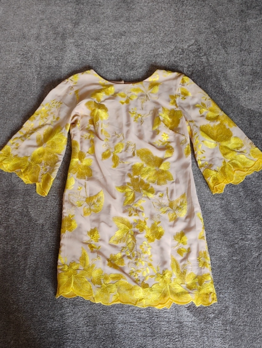 Dress The Population Paige Metallic Embroidered Chiffon Shift Dress